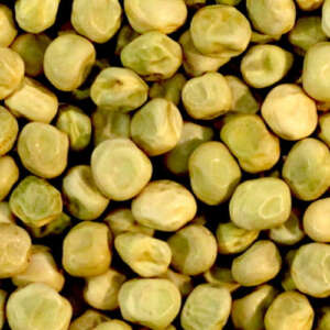 Marrowfat Peas