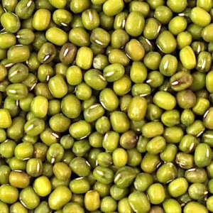 Green Mung Beans