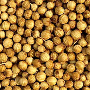 Coriander Seeds