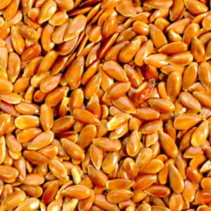 Linseeds