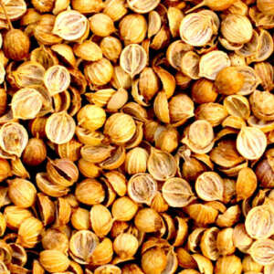 Split Coriander Seeds